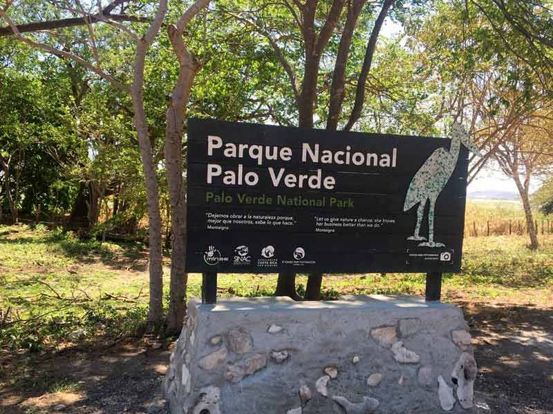 Tour Parque Nacional Palo Verde Brazos Abiertos Costa Rica